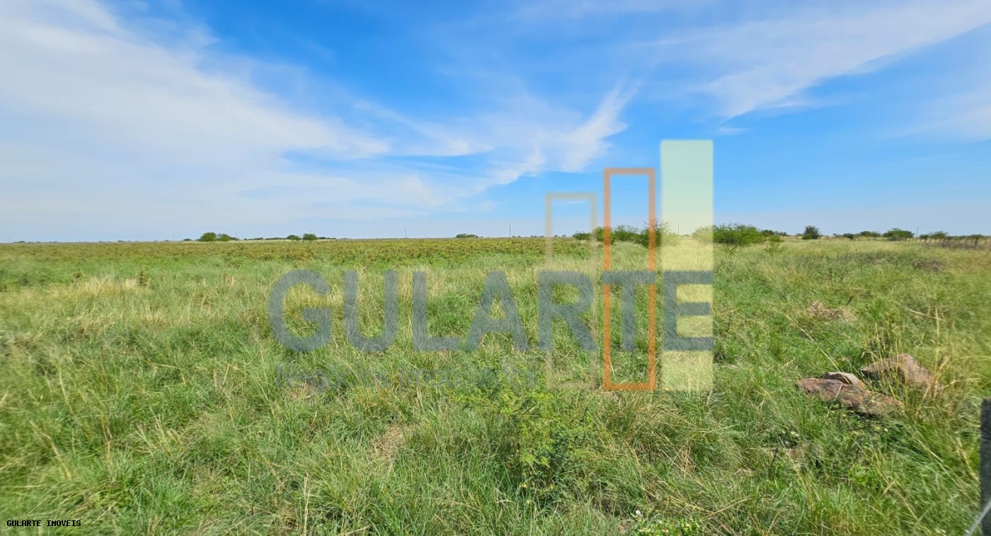 Fazenda, 460 hectares - Foto 10