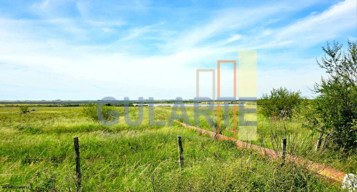 Fazenda, 460 hectares - Foto 12