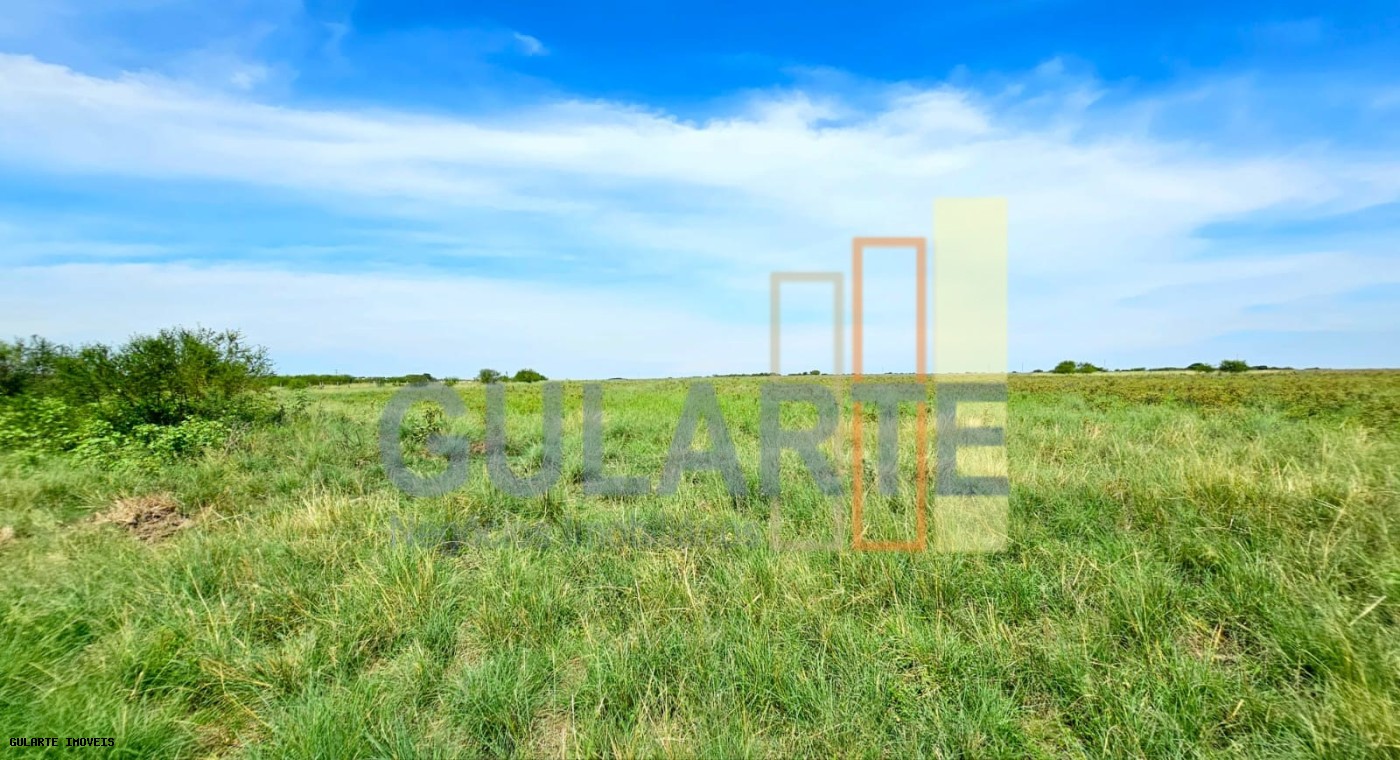 Fazenda, 460 hectares - Foto 15