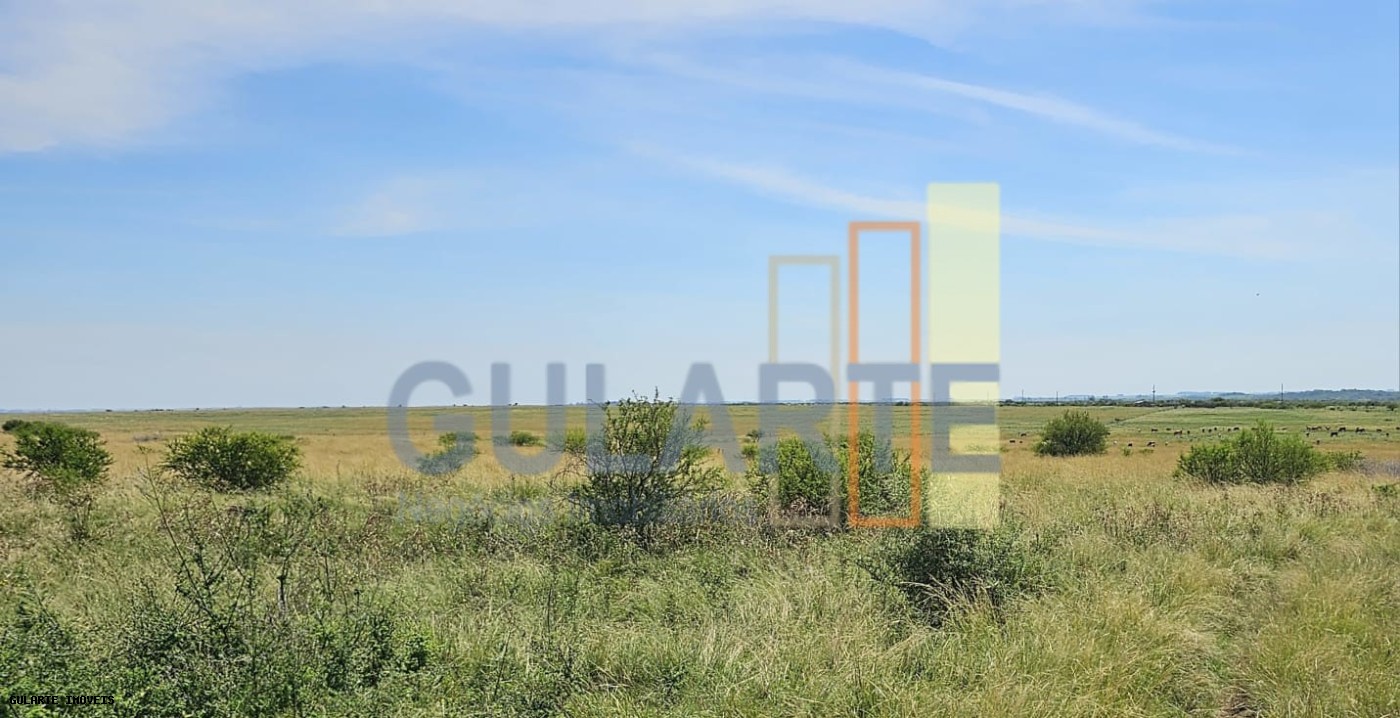 Fazenda, 460 hectares - Foto 13