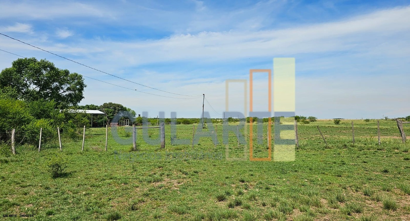 Fazenda, 460 hectares - Foto 14