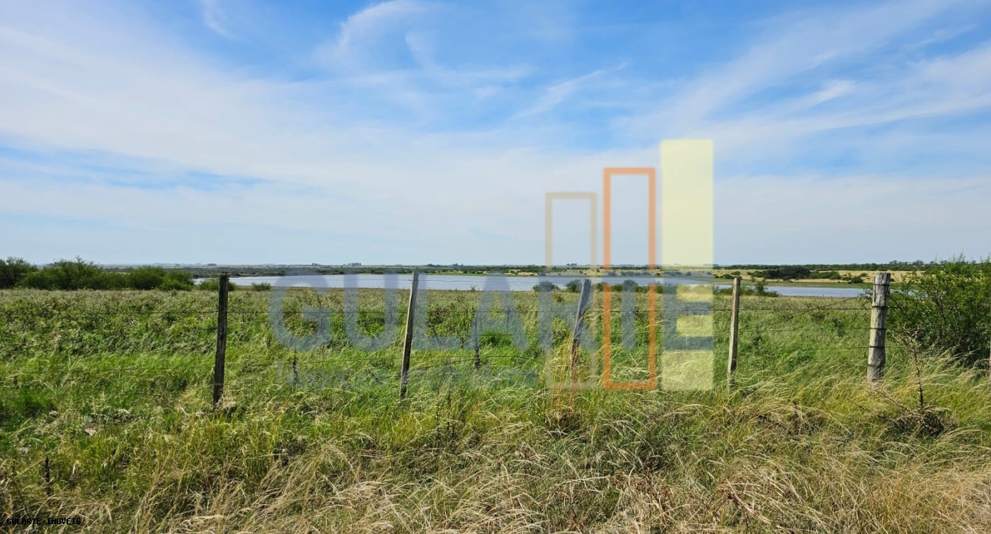 Fazenda, 460 hectares - Foto 16