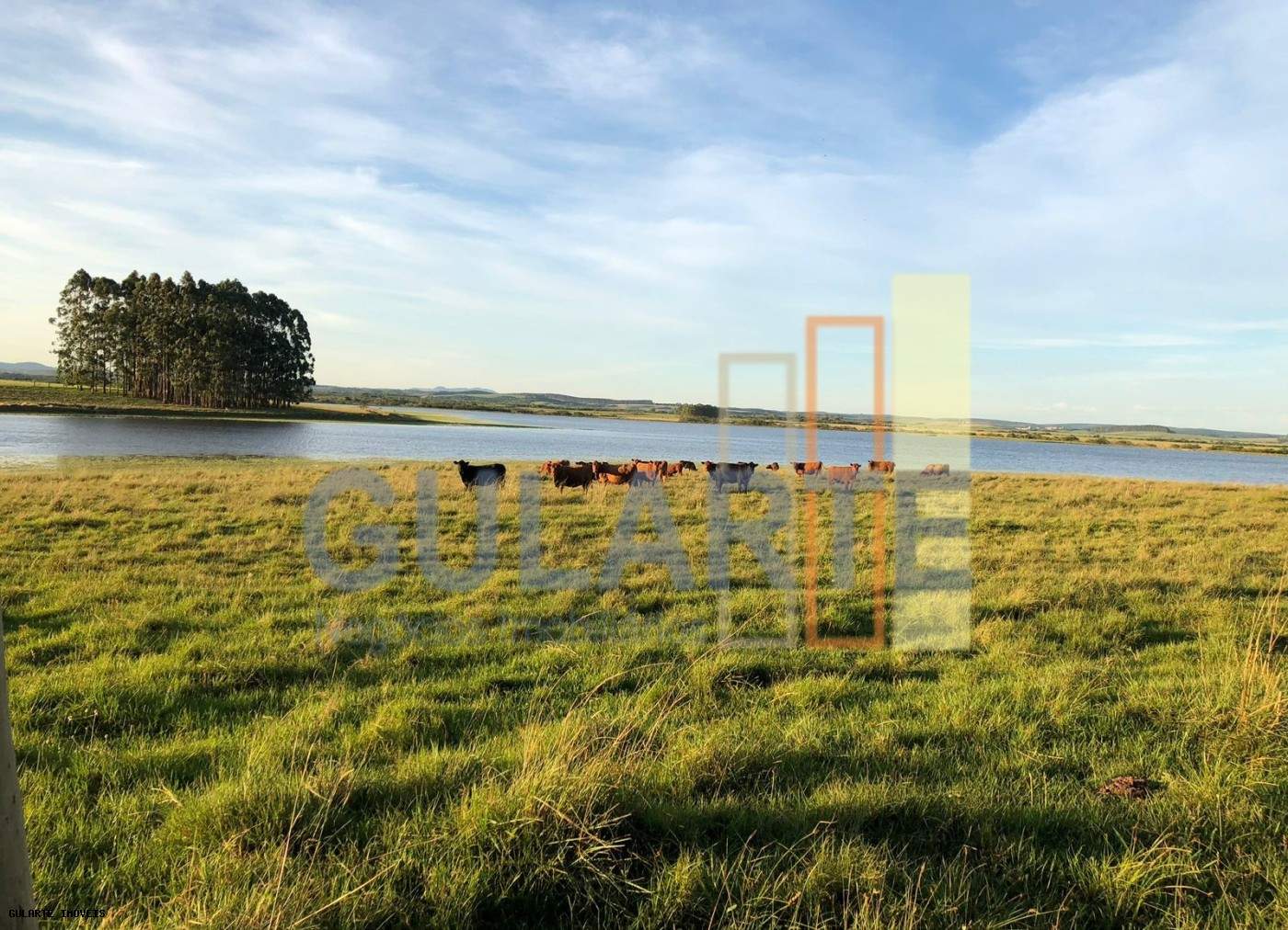 Fazenda, 1263 hectares - Foto 1