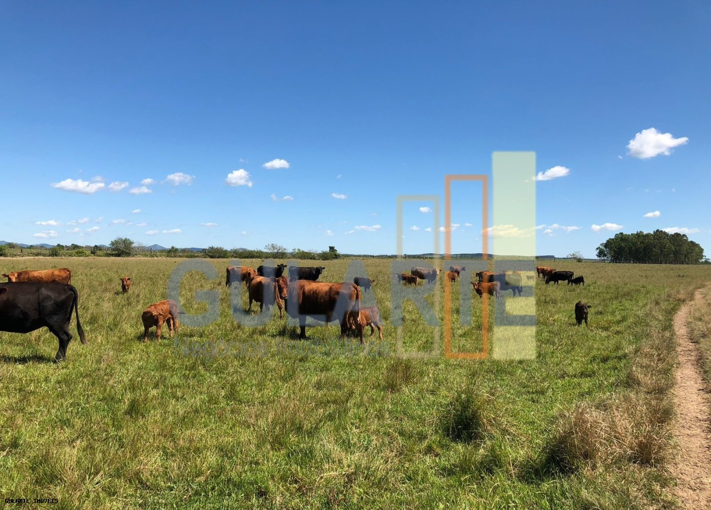 Fazenda, 1263 hectares - Foto 2