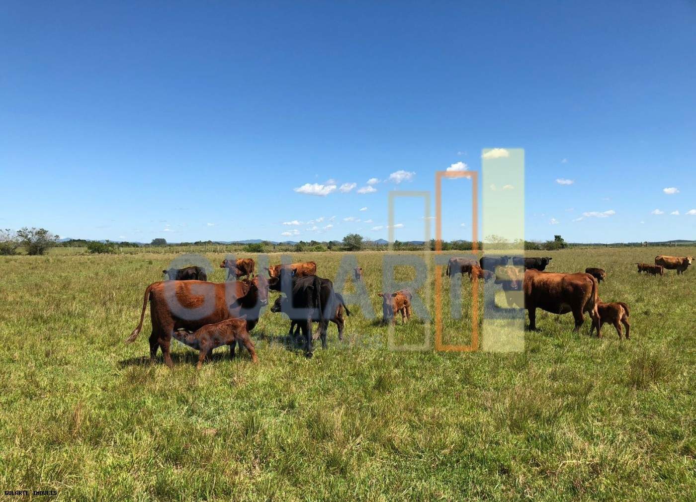 Fazenda, 1263 hectares - Foto 3
