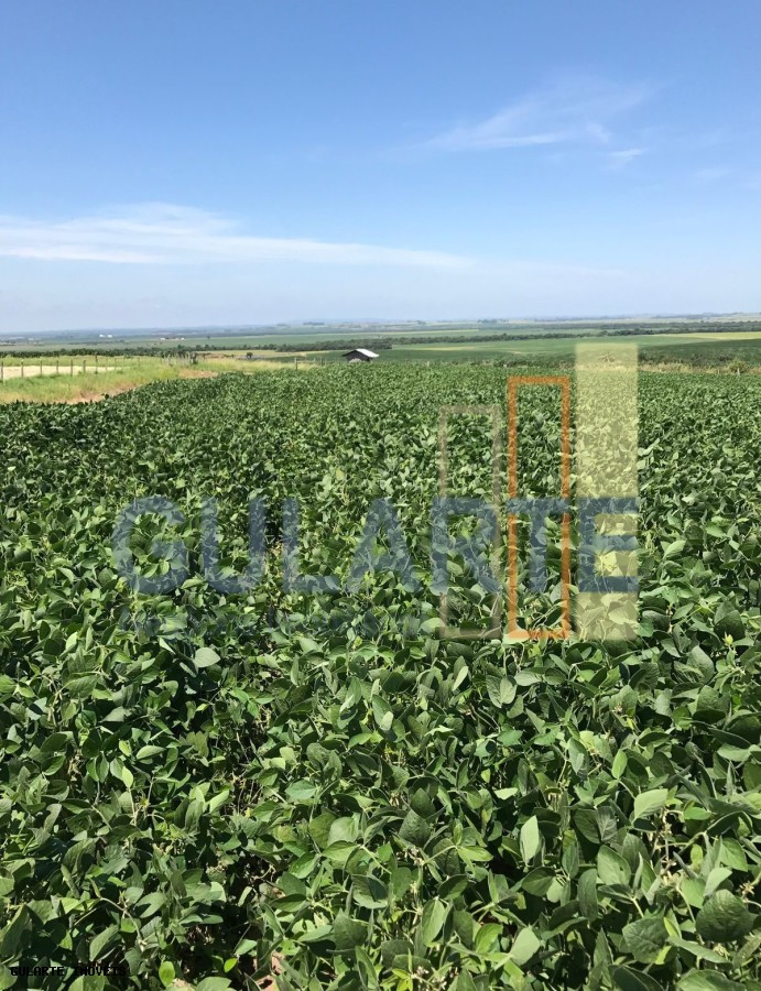 Fazenda, 1263 hectares - Foto 5