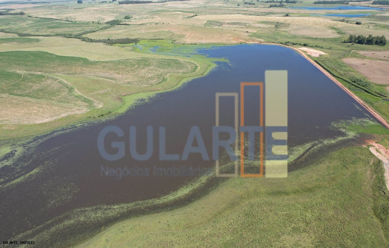 Fazenda, 1263 hectares - Foto 9