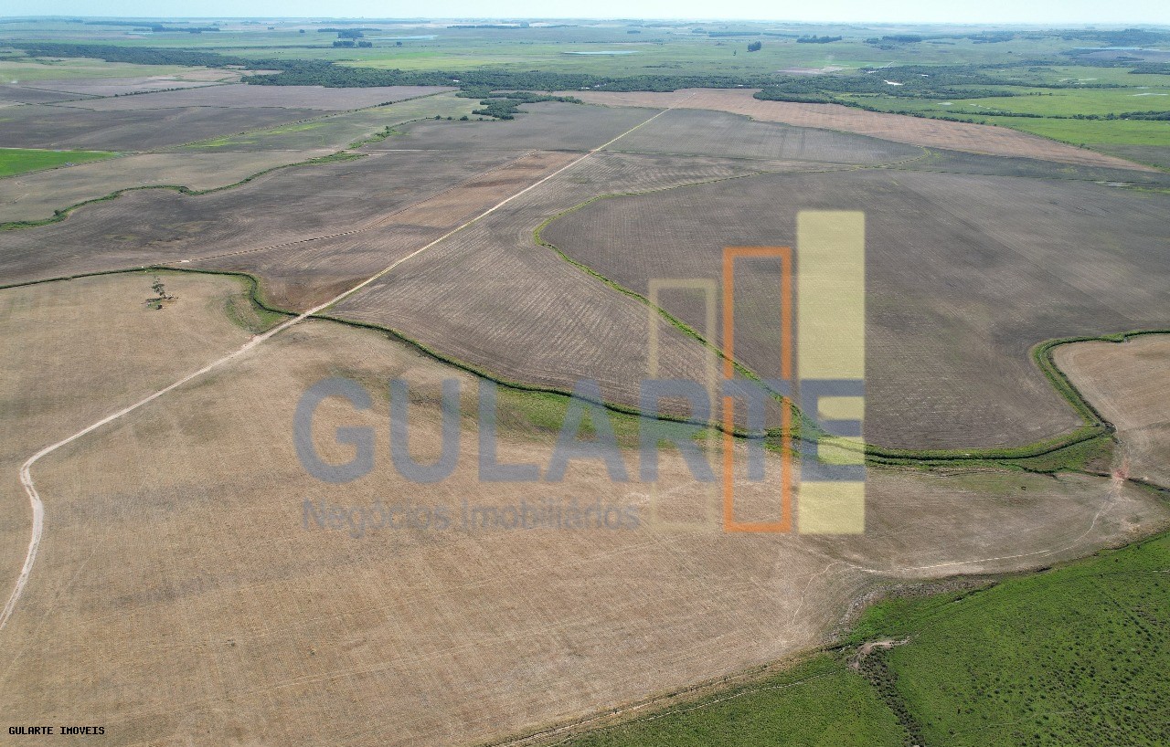 Fazenda, 1263 hectares - Foto 8