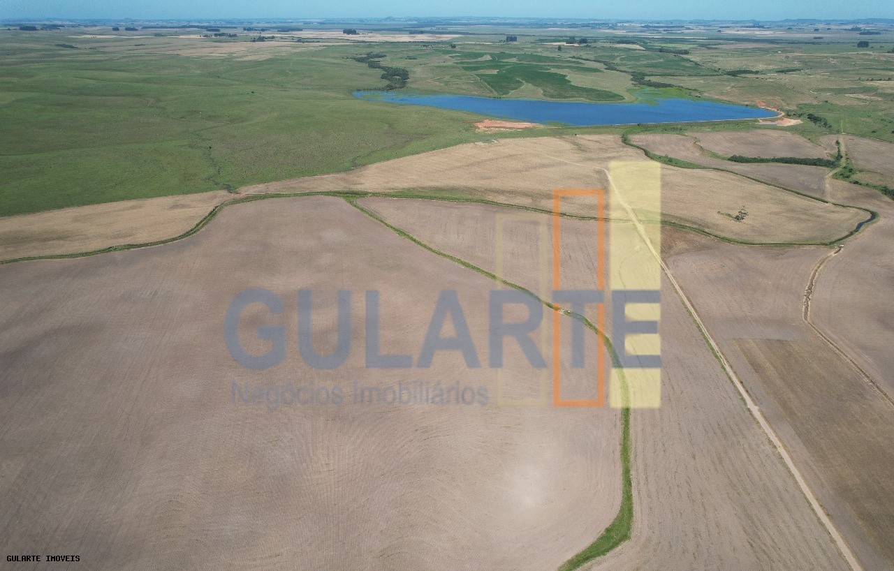 Fazenda, 1263 hectares - Foto 11