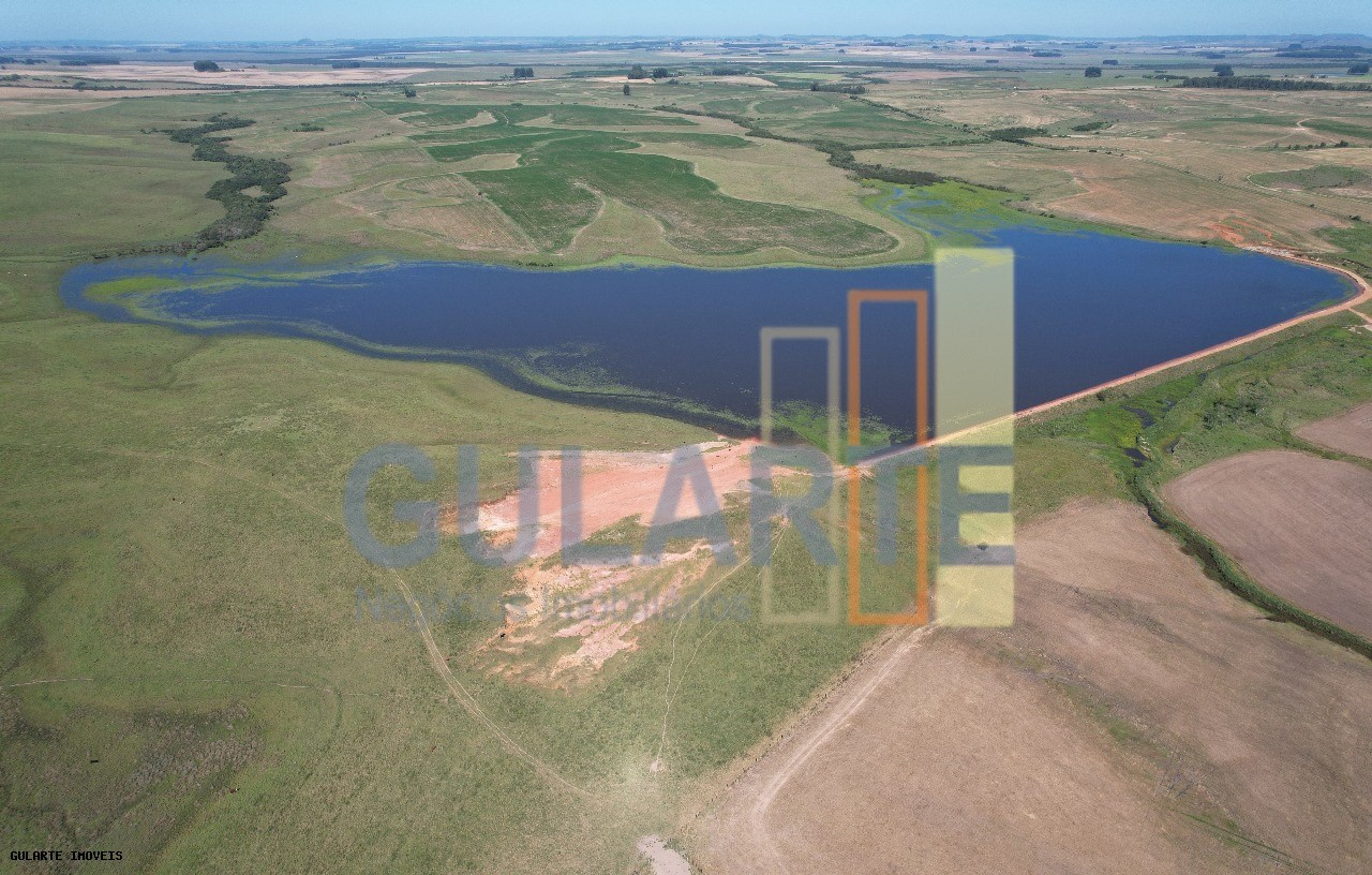 Fazenda, 1263 hectares - Foto 12