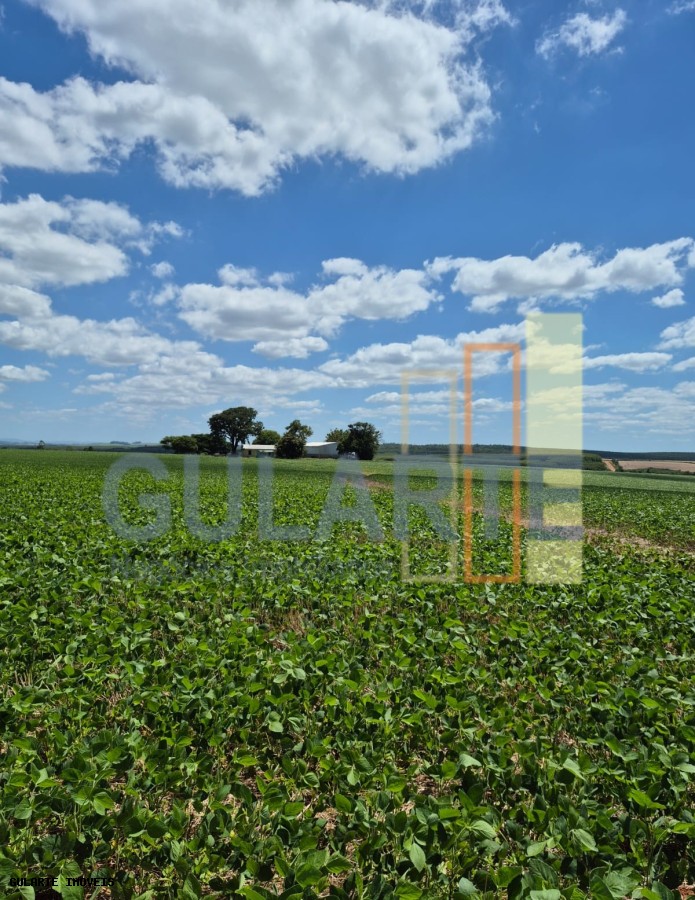 Fazenda, 1263 hectares - Foto 15