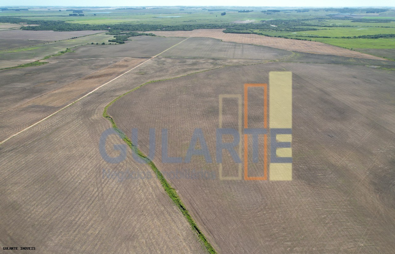 Fazenda, 1263 hectares - Foto 14