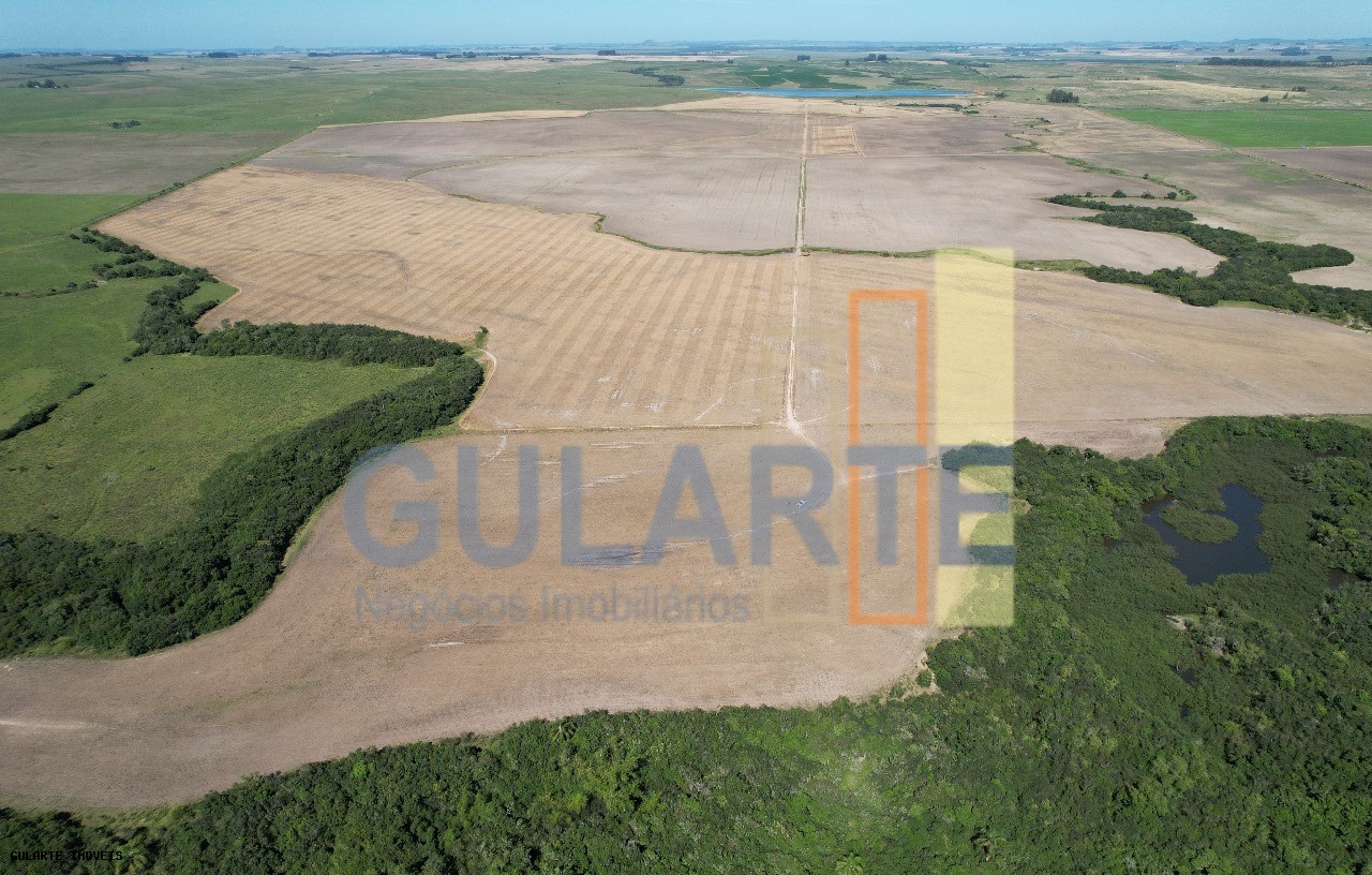 Fazenda, 1263 hectares - Foto 13