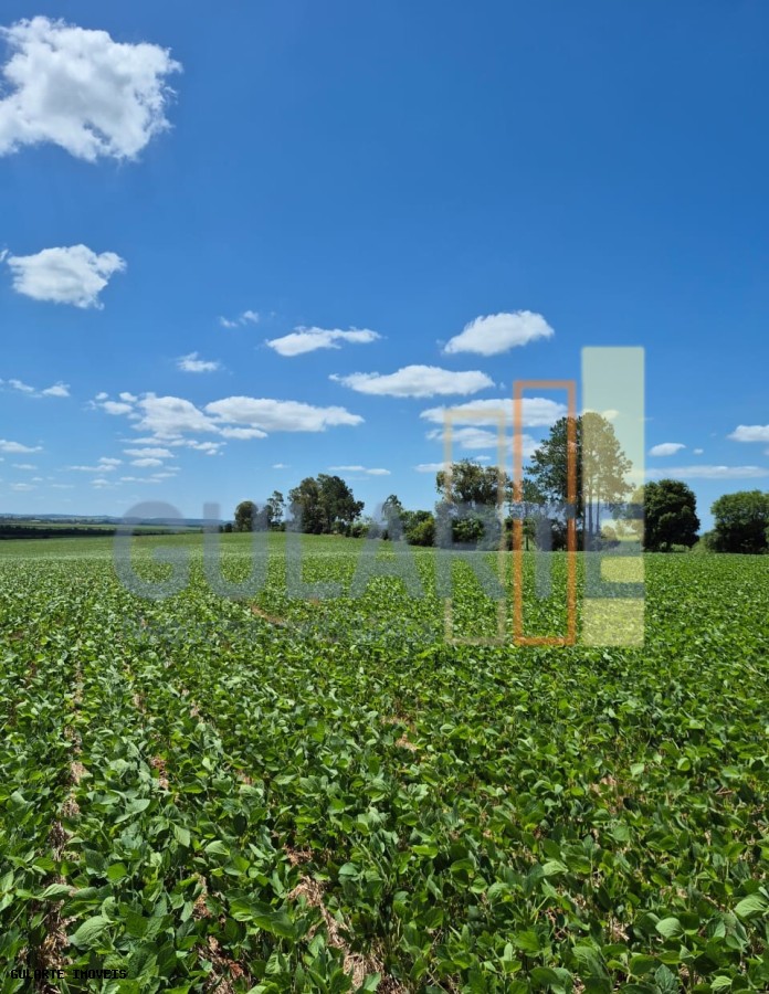 Fazenda, 1263 hectares - Foto 18