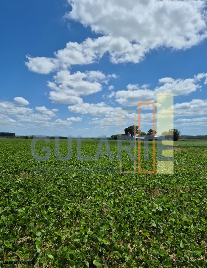 Fazenda, 1263 hectares - Foto 17