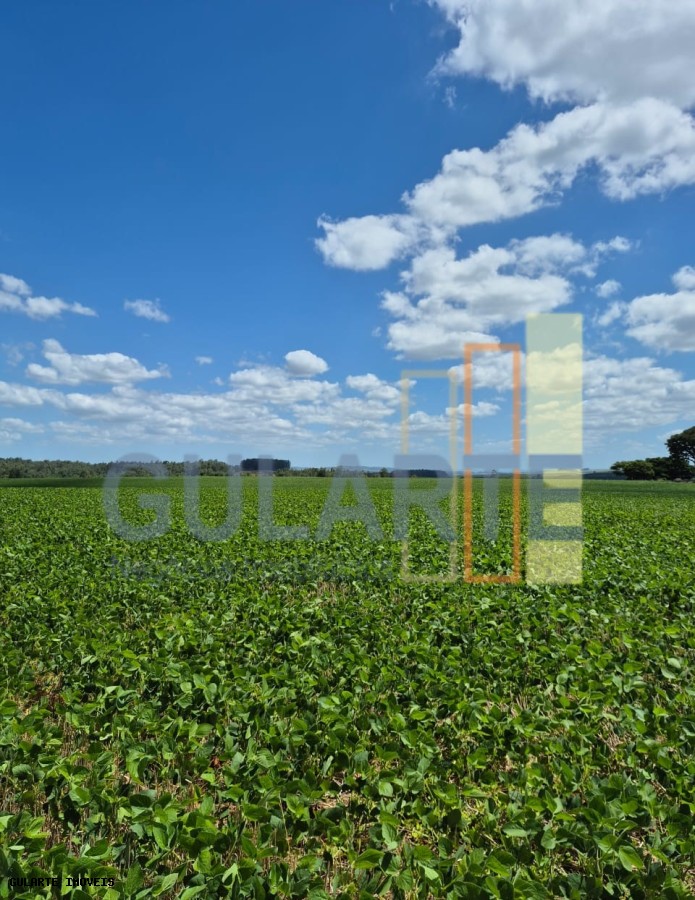 Fazenda, 1263 hectares - Foto 16