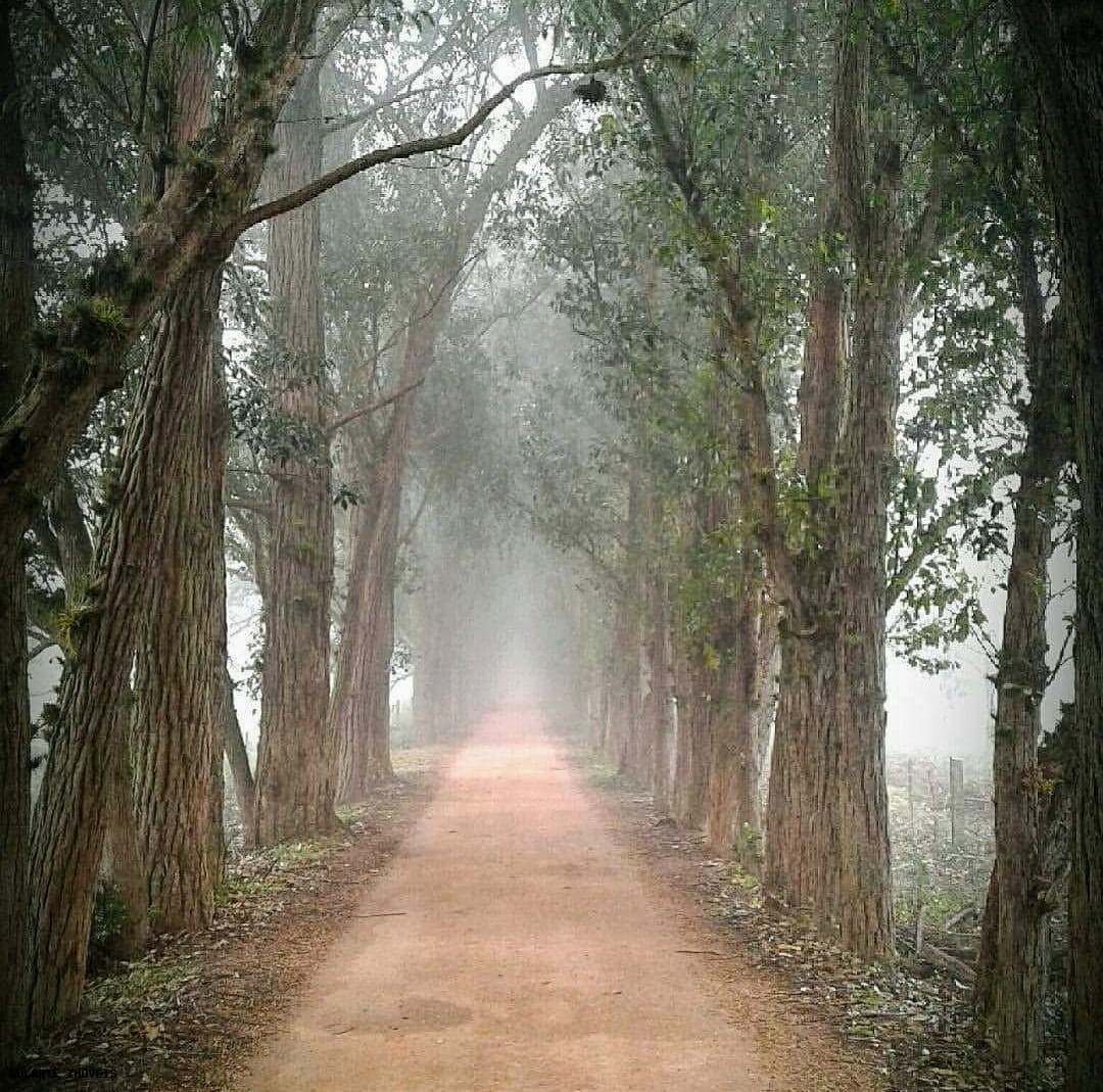 Chácara, 365 hectares - Foto 1