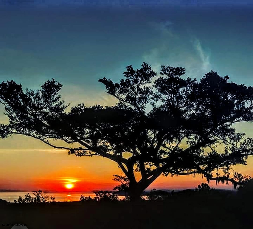 Chácara, 365 hectares - Foto 2