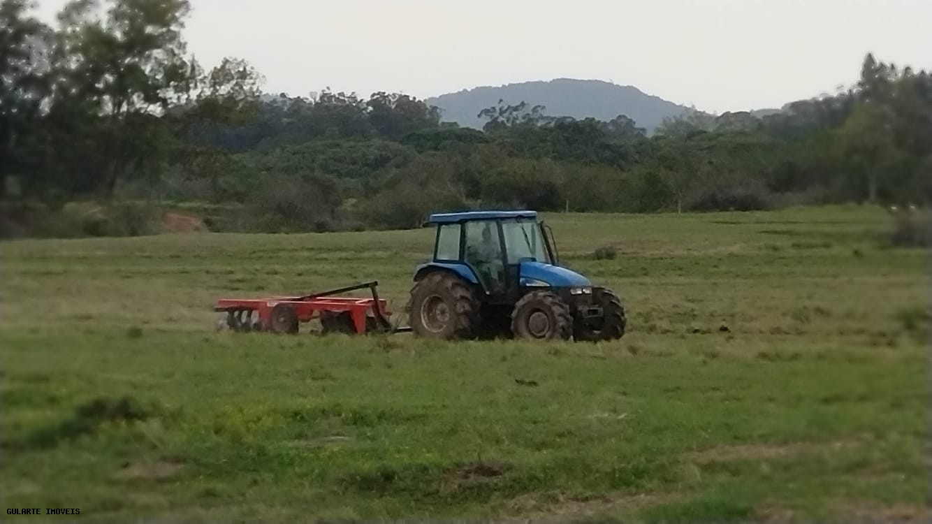 Chácara, 365 hectares - Foto 5