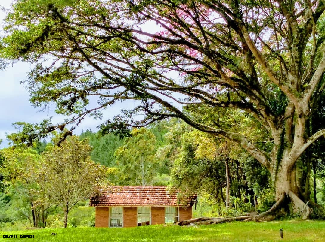 Chácara, 365 hectares - Foto 7