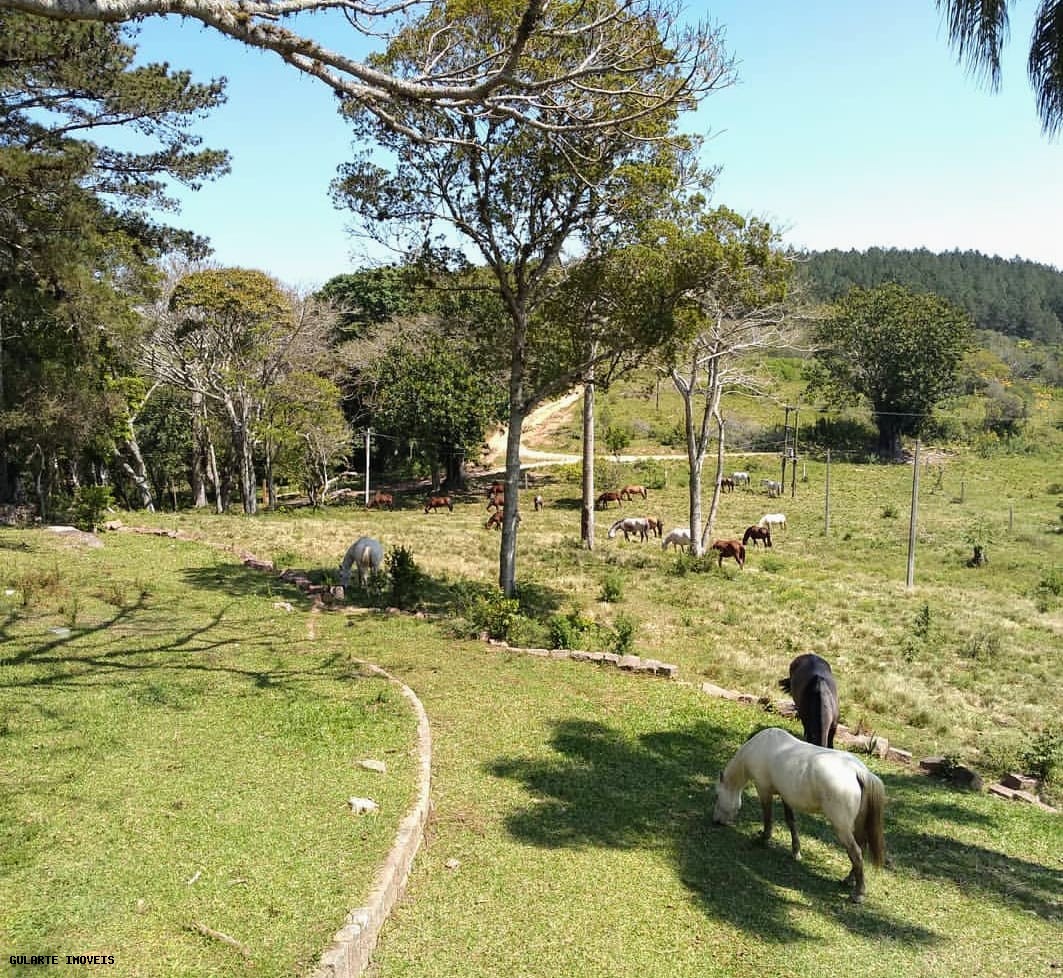 Chácara, 365 hectares - Foto 8