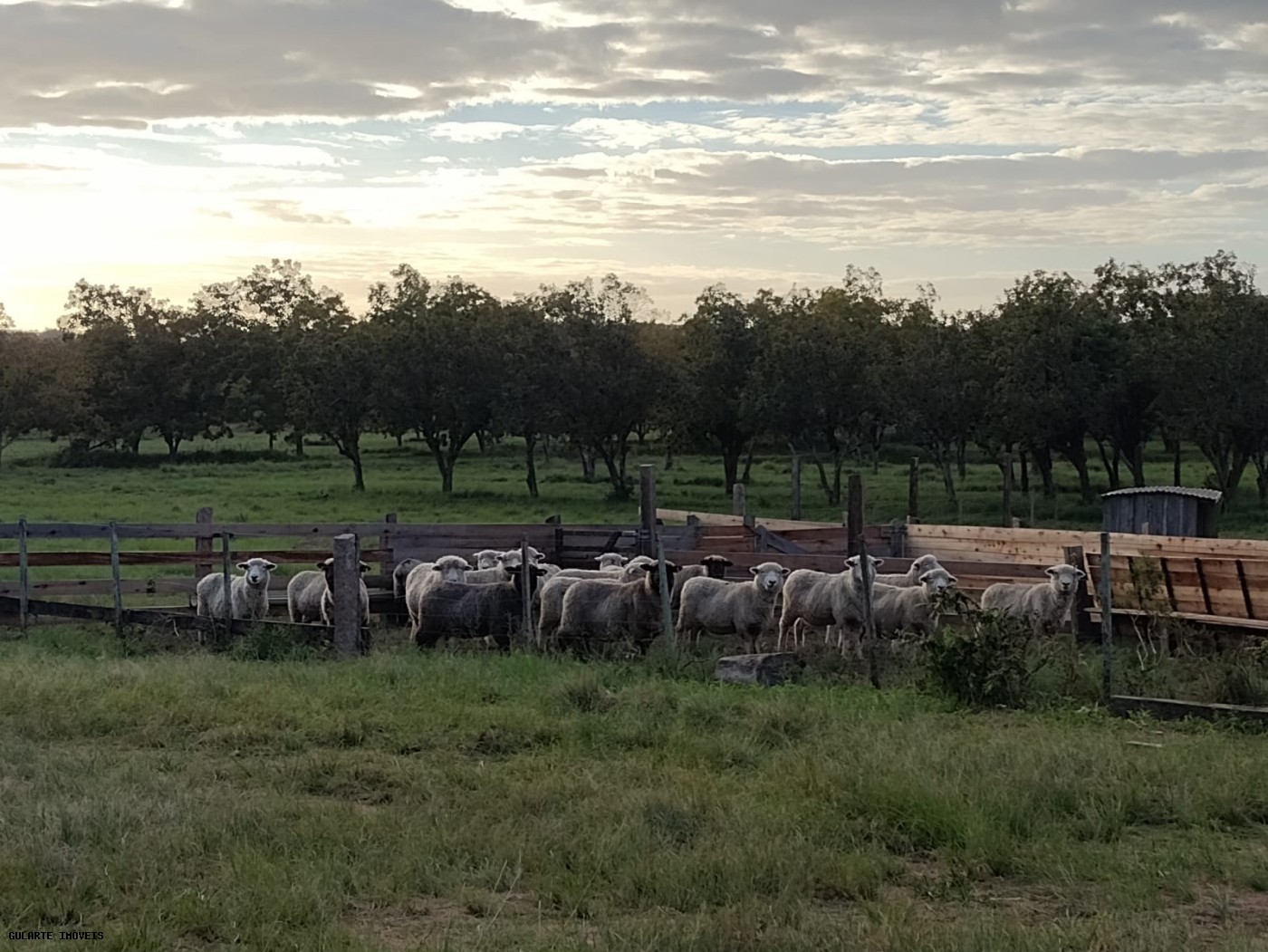 Chácara, 365 hectares - Foto 10