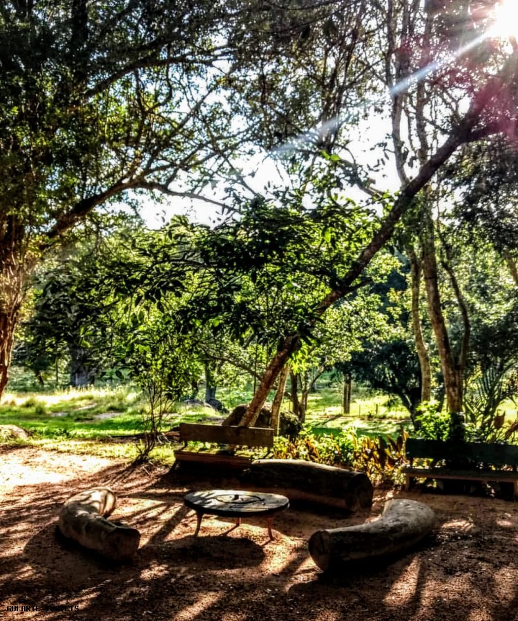 Chácara, 365 hectares - Foto 11