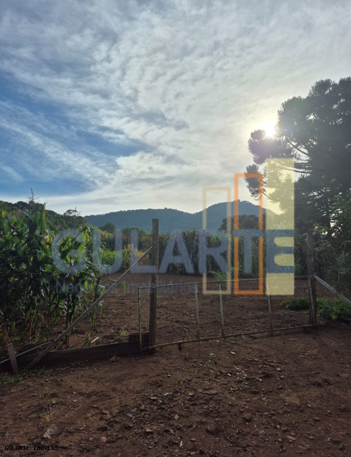 Chácara, 7300 m² - Foto 4