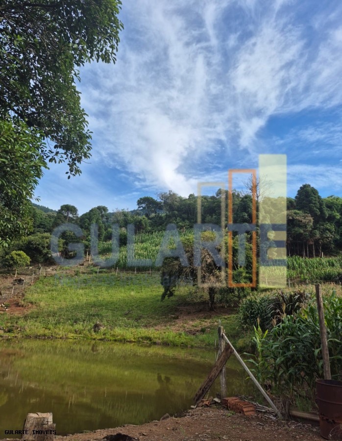 Chácara, 7300 m² - Foto 2