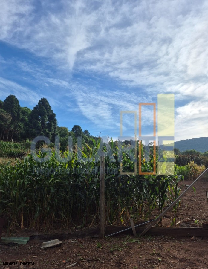 Chácara, 7300 m² - Foto 3