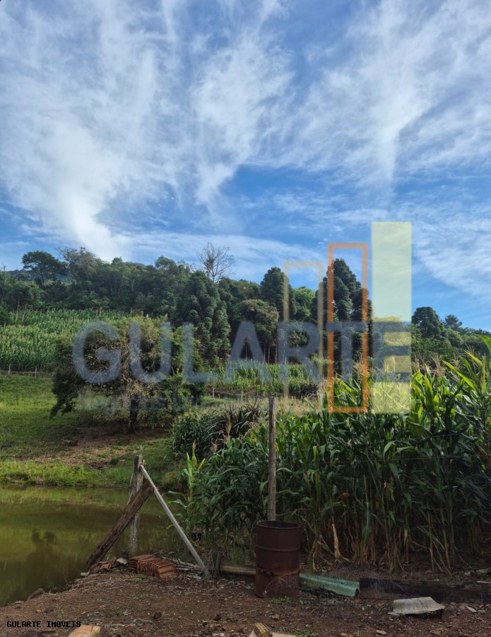 Chácara, 7300 m² - Foto 6