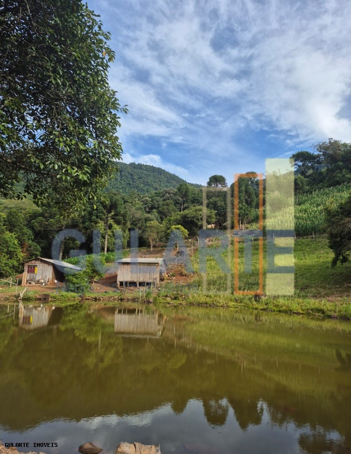 Chácara, 7300 m² - Foto 5