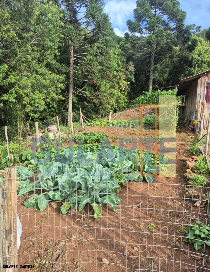 Chácara, 7300 m² - Foto 7