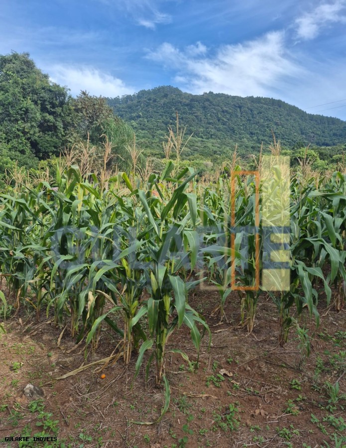 Chácara, 7300 m² - Foto 12