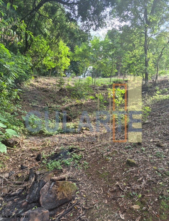 Chácara, 7300 m² - Foto 10