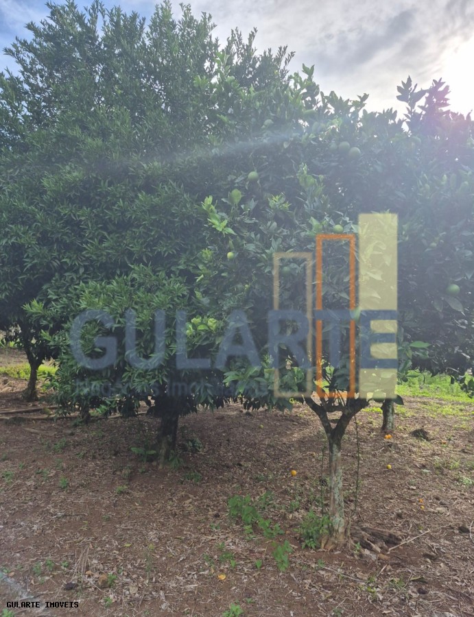 Chácara, 7300 m² - Foto 14