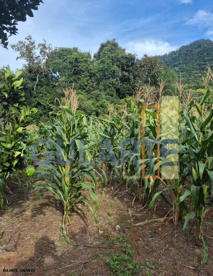 Chácara, 7300 m² - Foto 15