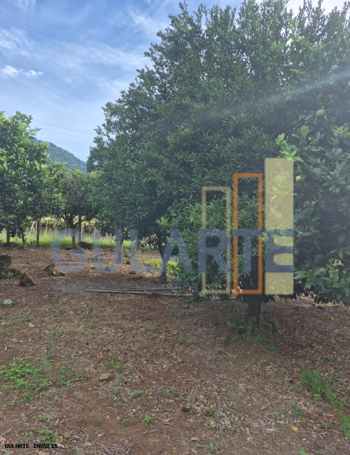 Chácara, 7300 m² - Foto 13