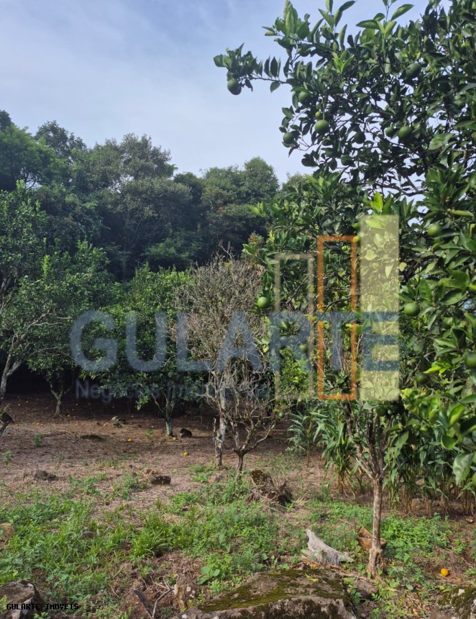 Chácara, 7300 m² - Foto 18