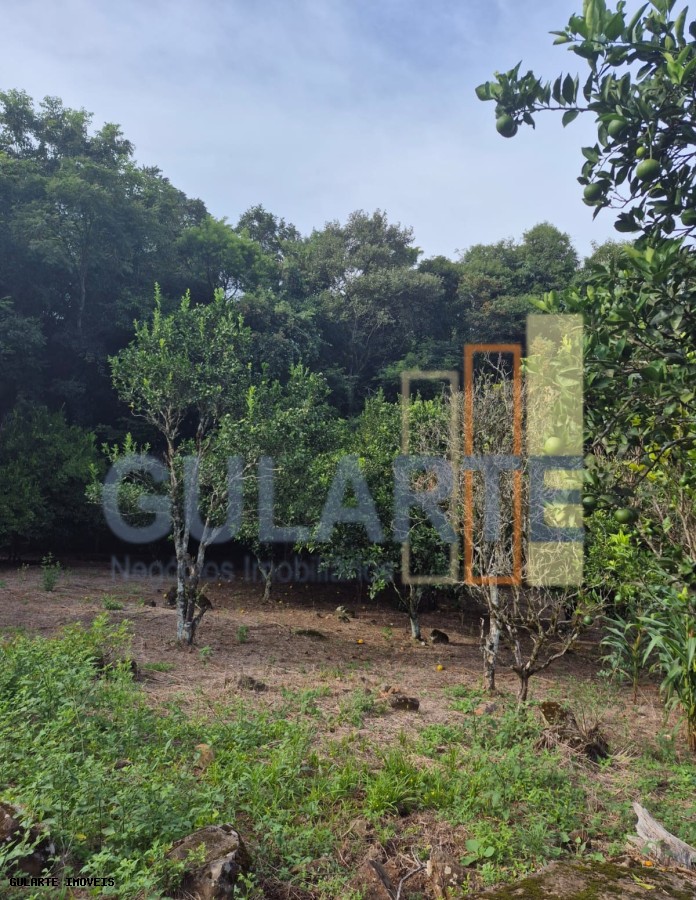 Chácara, 7300 m² - Foto 20