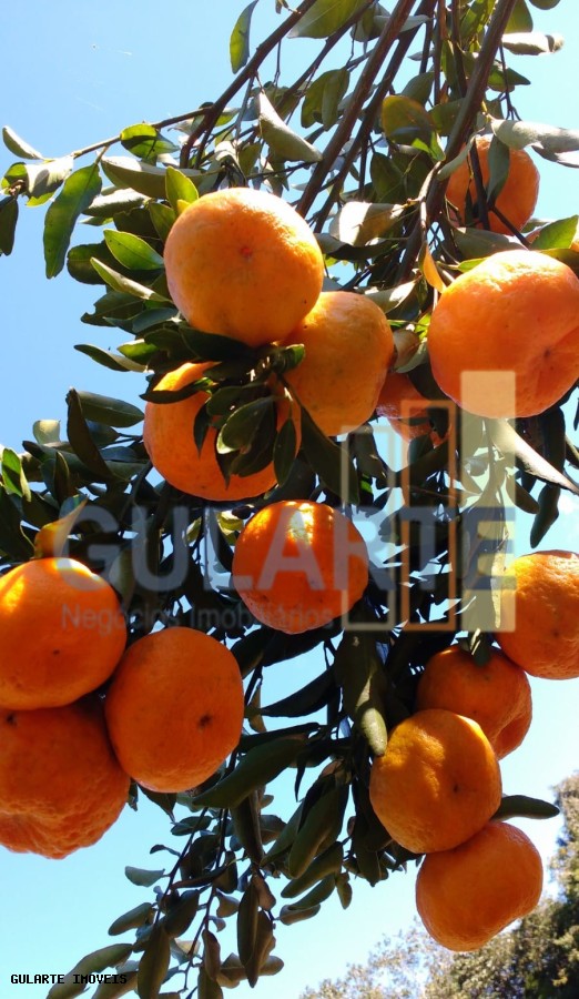 Chácara, 7300 m² - Foto 21