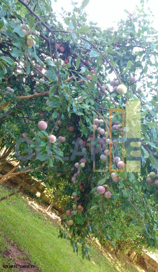 Chácara, 7300 m² - Foto 23