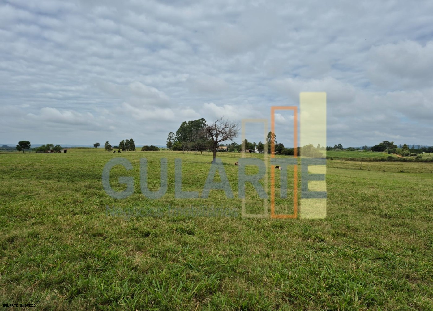 Fazenda, 85 hectares - Foto 3