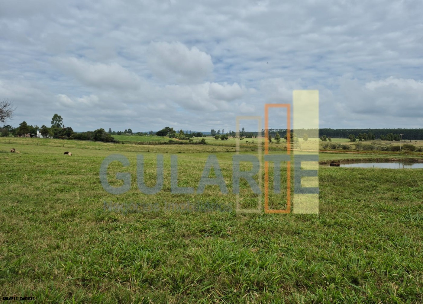 Fazenda, 85 hectares - Foto 1