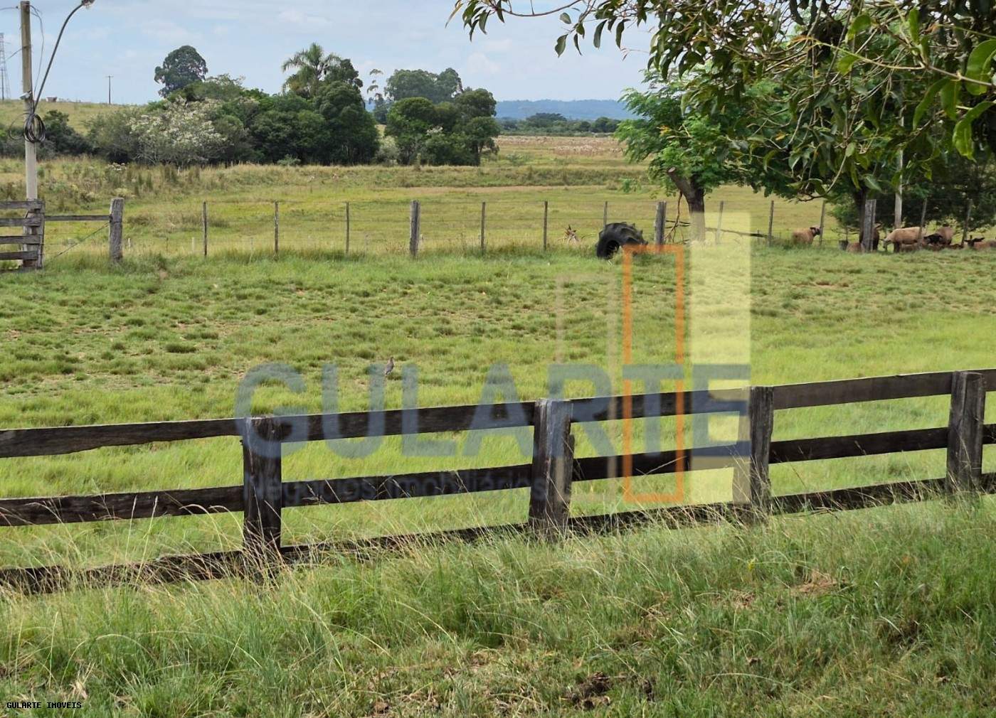 Fazenda, 85 hectares - Foto 5