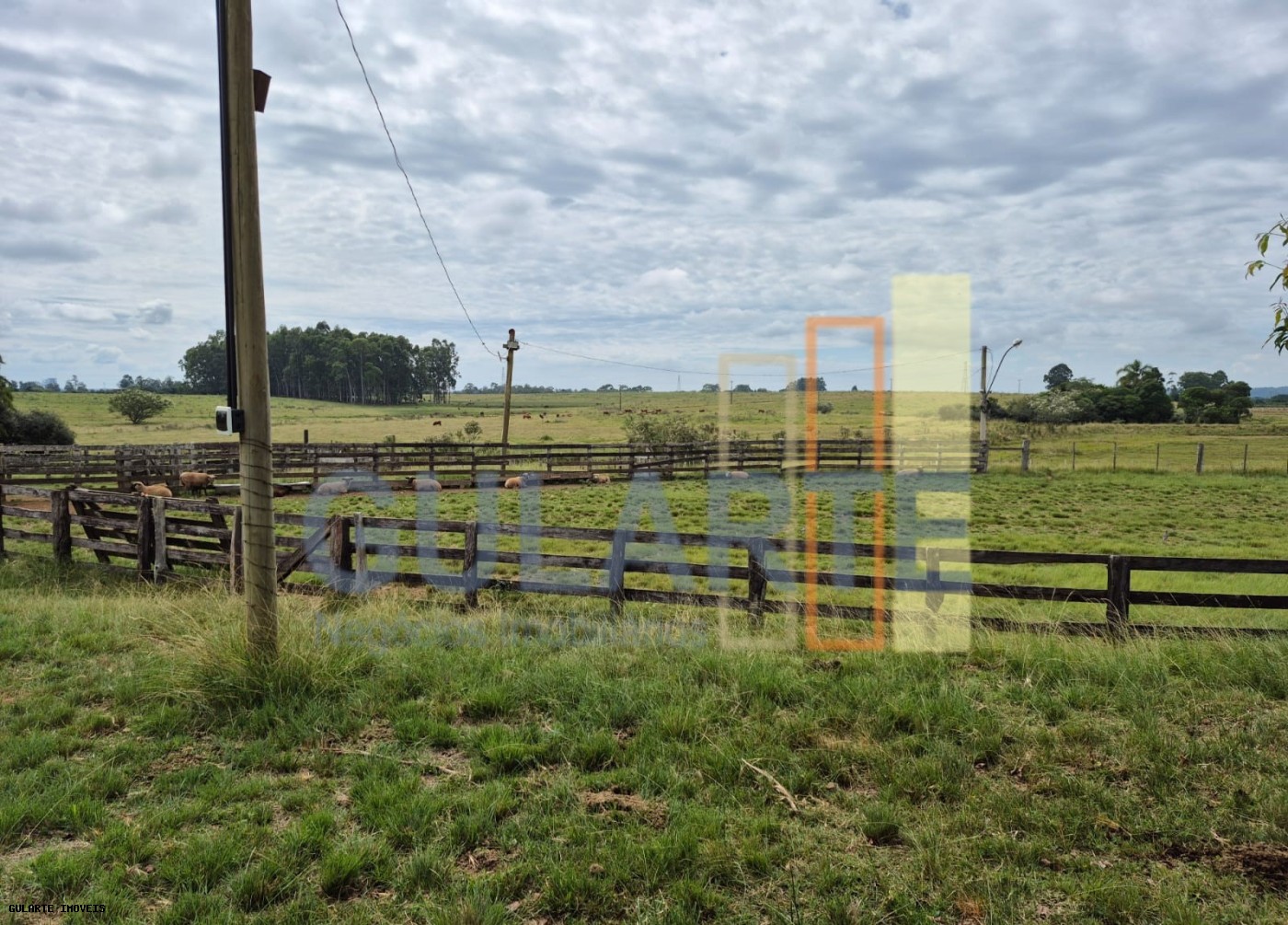Fazenda, 85 hectares - Foto 6