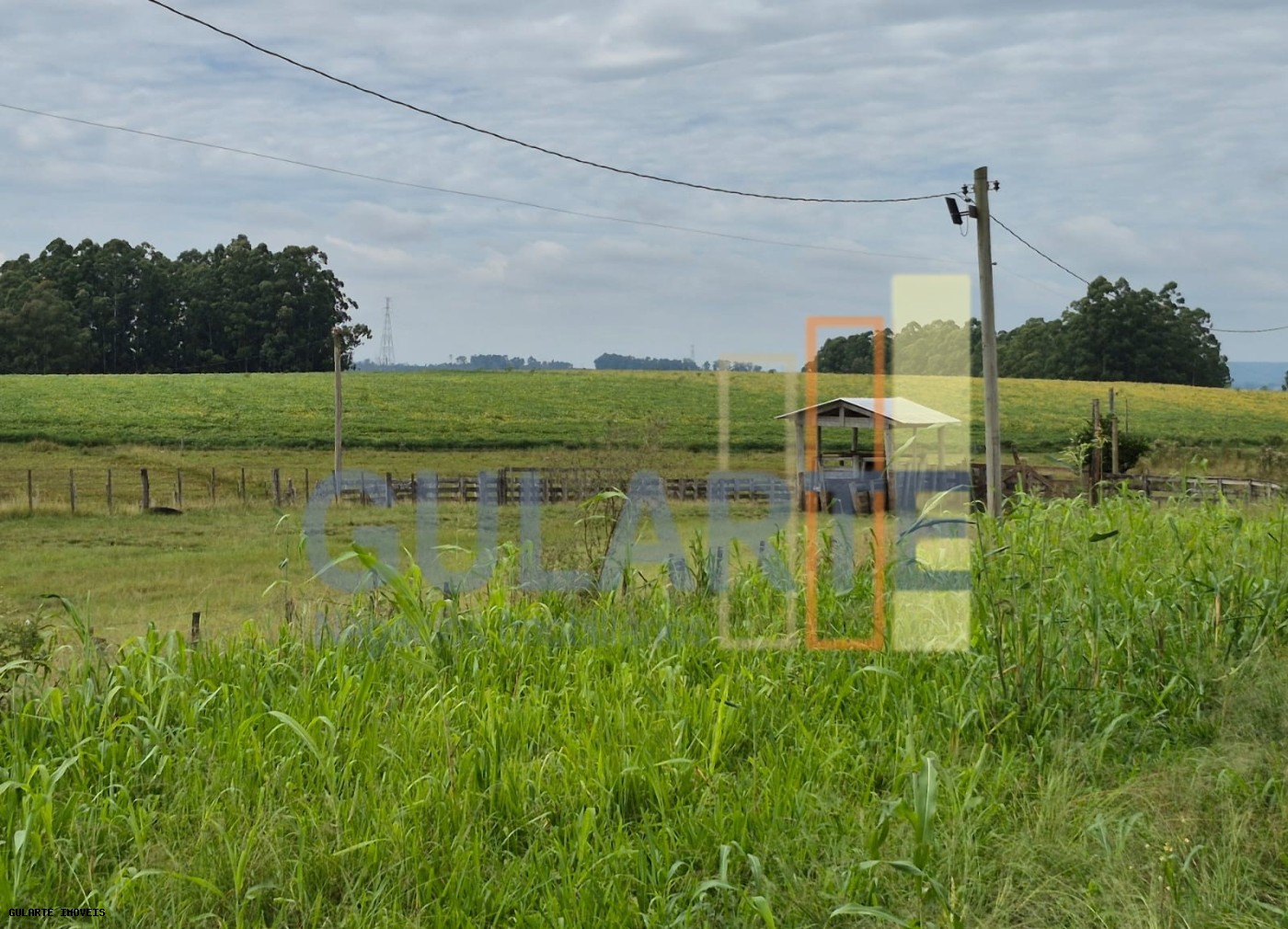 Fazenda, 85 hectares - Foto 4