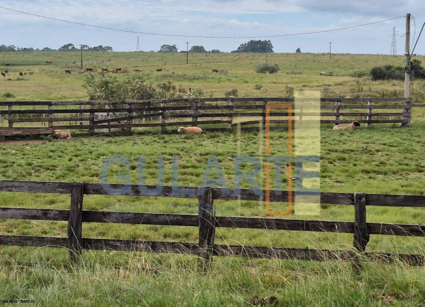 Fazenda, 85 hectares - Foto 7