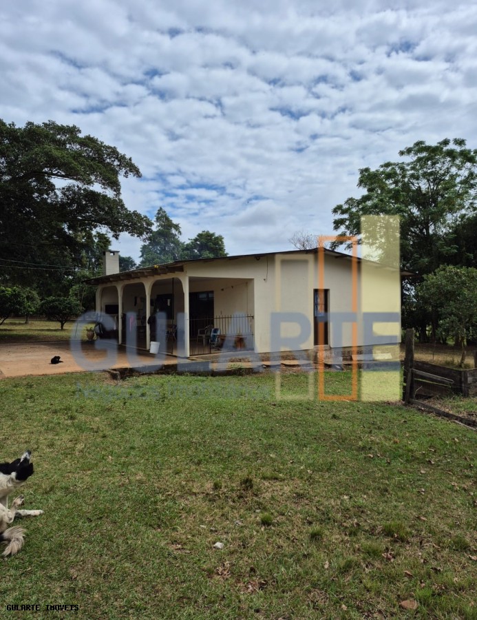 Fazenda, 85 hectares - Foto 12