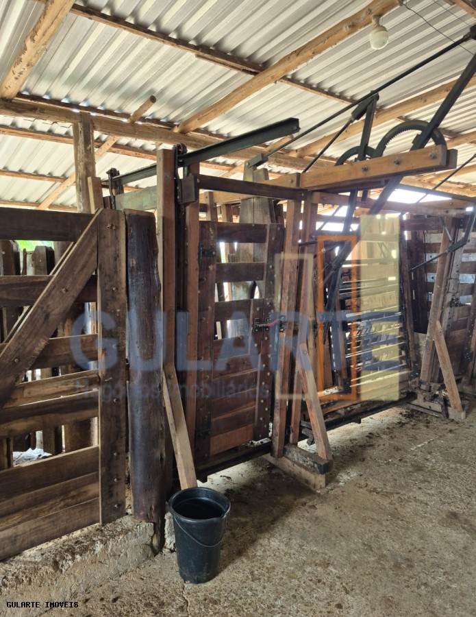 Fazenda, 85 hectares - Foto 17